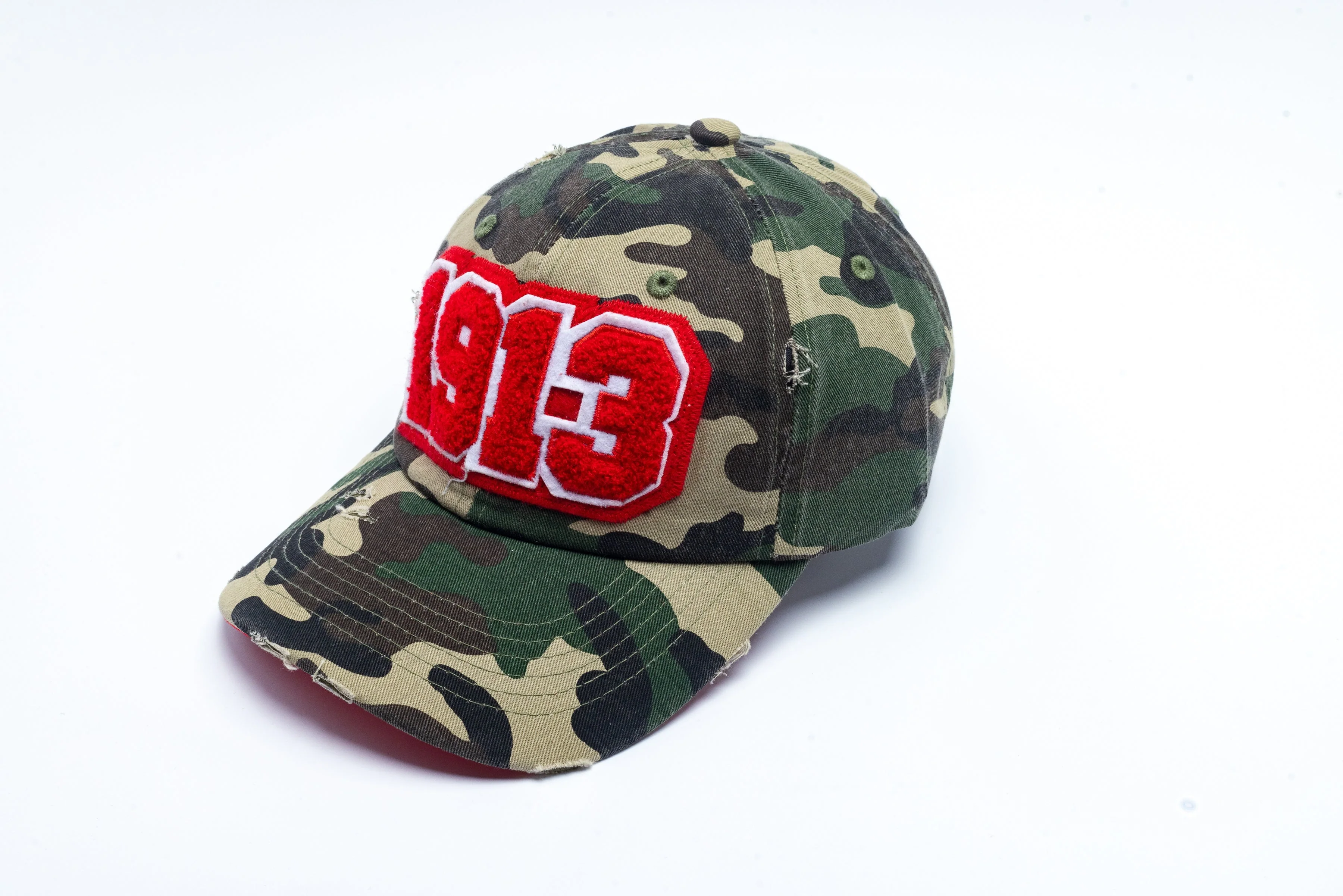 1913 Delta Sigma Theta Distressed Camo Chenille Cap - Image 5