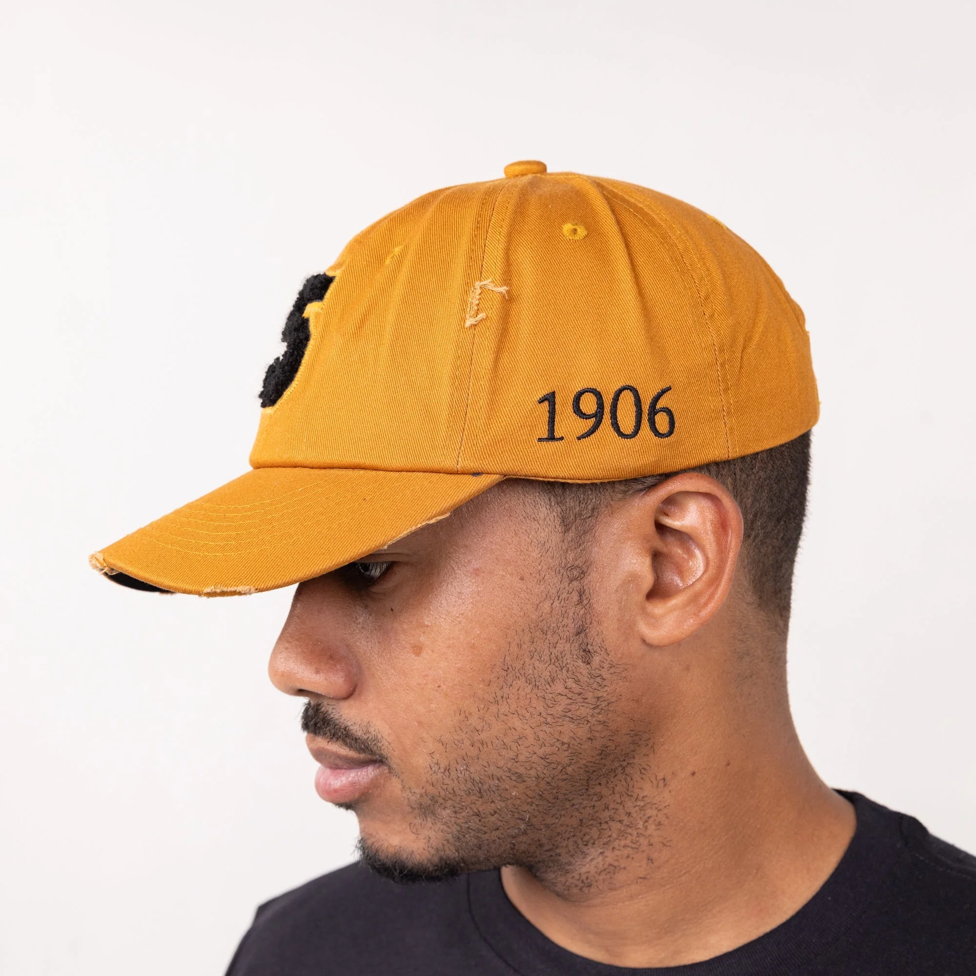 Alpha Phi Alpha Gold Chenille Cap with Line Number - Image 6