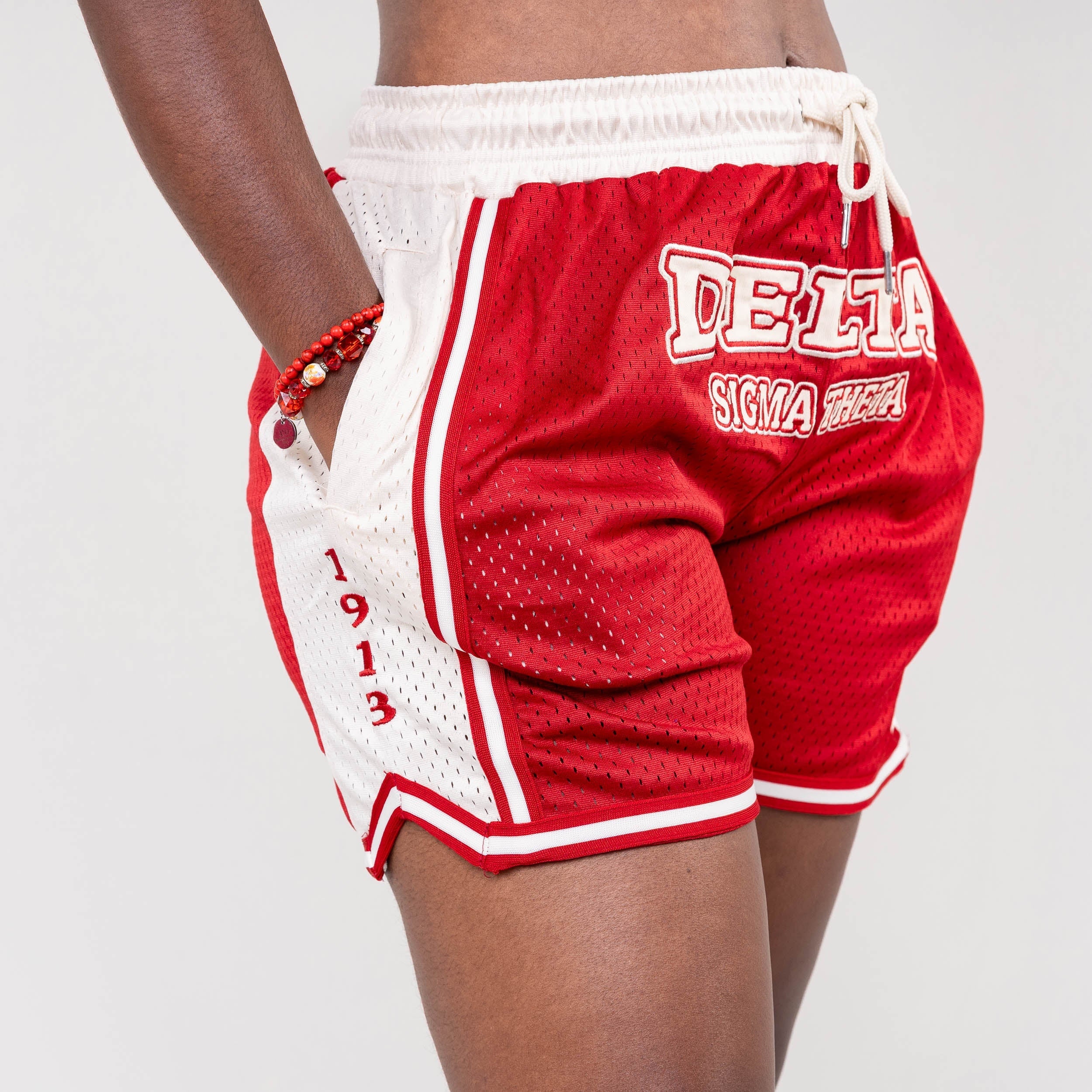 Delta Sigma Theta Embroidered Basketball Shorts - Image 5