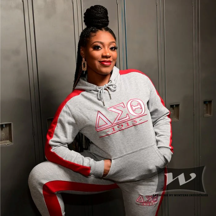 Delta Sigma Theta Gray Tracksuit - Image 4